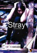 Workbook for Stray by David Belbin